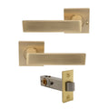 Pegasus Elite Integrated Privacy - Matt Satin Brass