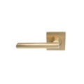 Phoenix Elite Dummy Non-Handed - Matt Satin Brass